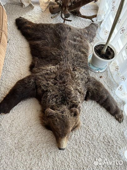 Шкура медведя имитация