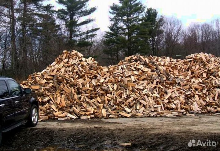 Дрова для бани