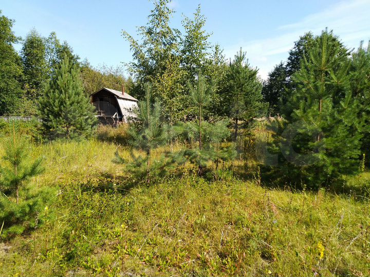 Дом 36 м² на участке 33 сот.