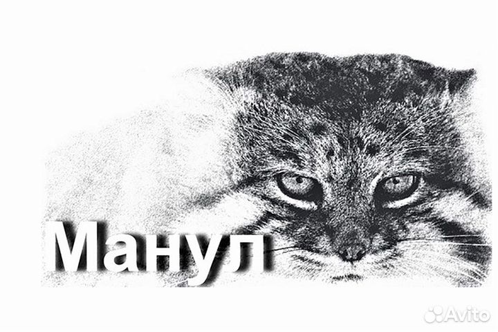 Рабочий на производство без опыта