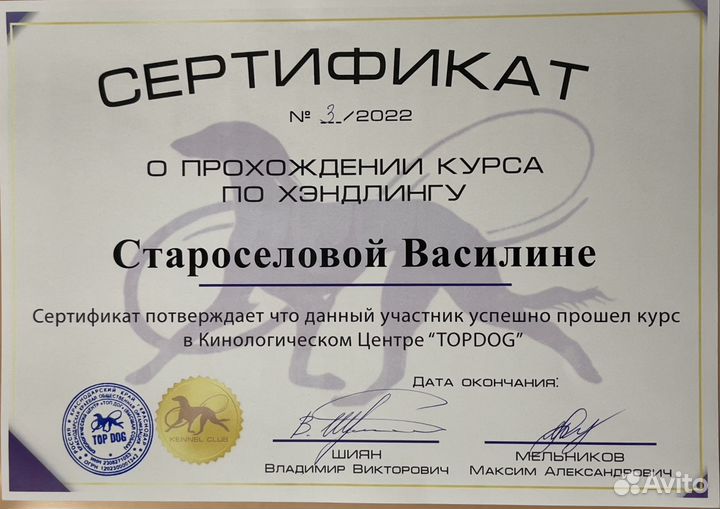 Услуги хендлера