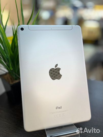 iPad mini 5 cellular