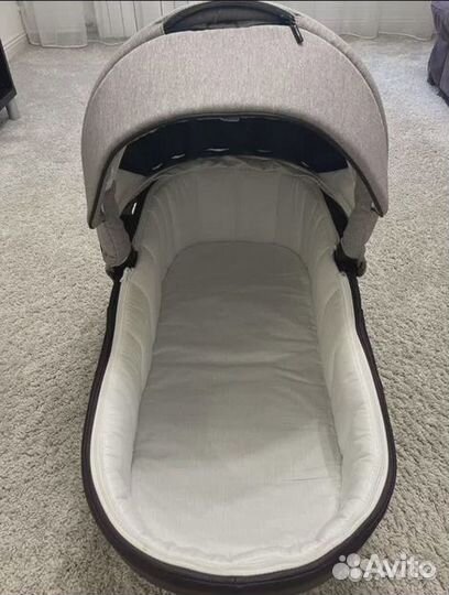 Коляска adamex cortina 2в1