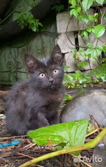 Все мальчики