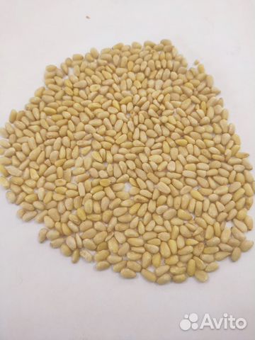 Переработка кедрового ореха на ядро очищенное