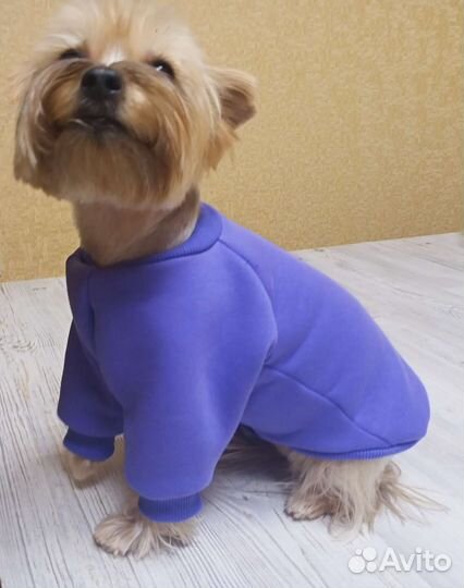 Толстовка для собачки