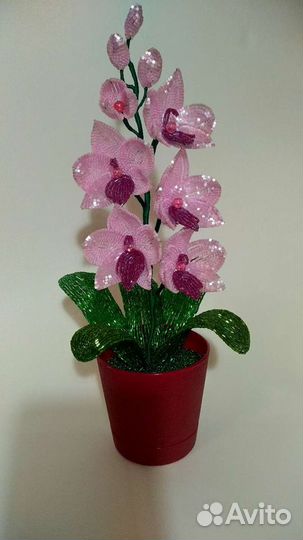 Орхидея