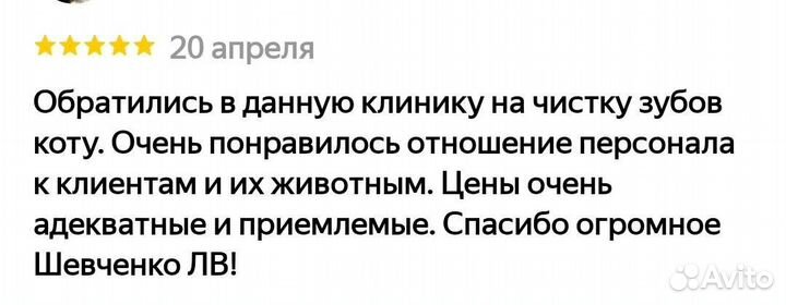 Ветеринарный врач