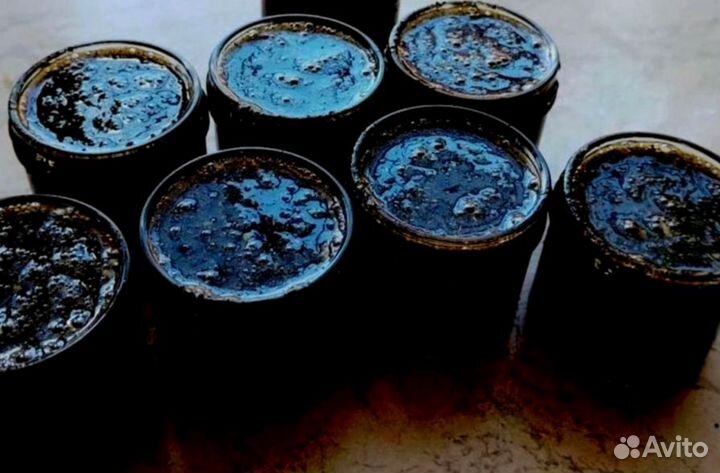 Трибулус для мужчин