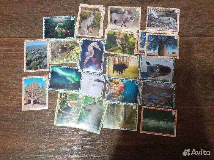 Наклейки живая планета пуд