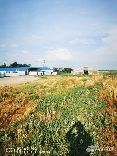 Сельское хозяйство 400 га