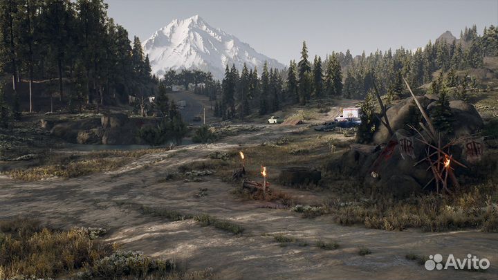 Days gone пк (Steam) Жизнь после