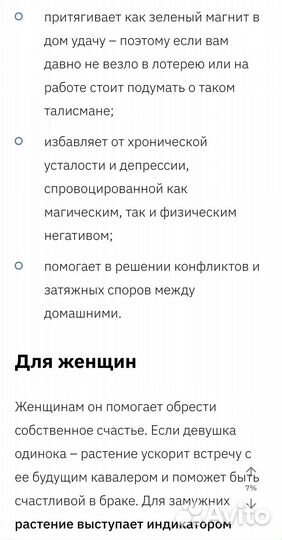 Хлорофитум