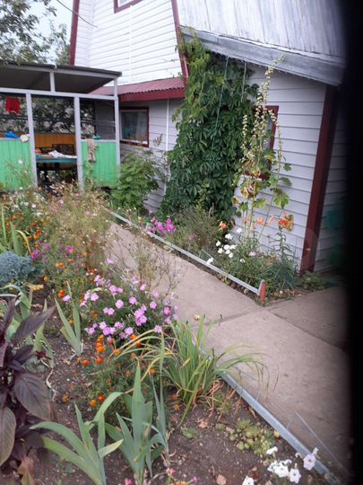 Дача 40 м² на участке 5,2 сот.