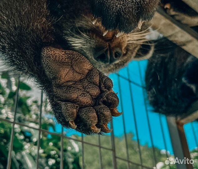 Хошимин Топ-Экскурсия Тропическое путешествие: Вье