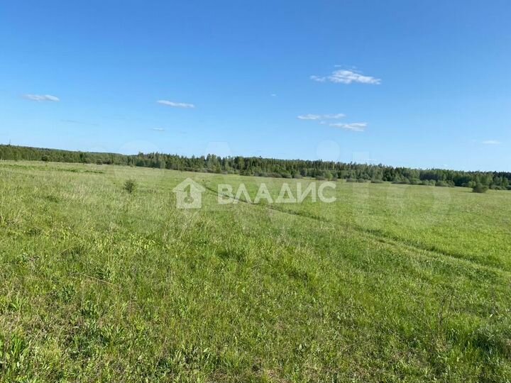 Участок 40 га (СНТ, ДНП)