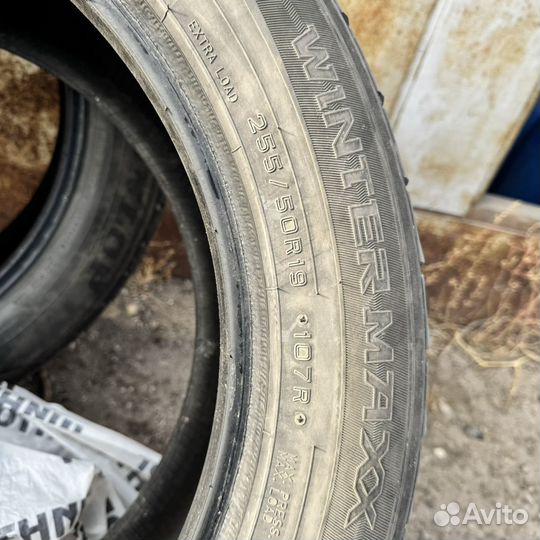 Dunlop Winter Maxx 255/50 R19 107R