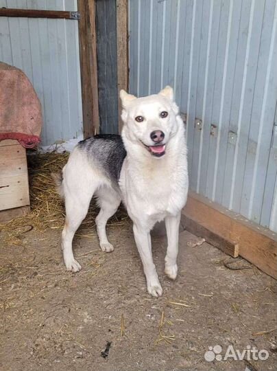Очень красивая девочка из приюта