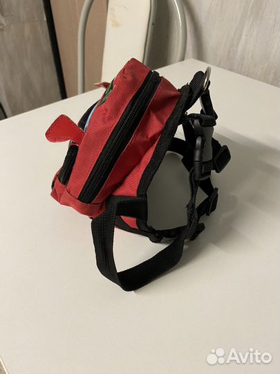 Шлейка для маленькой собаки