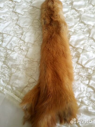 Шкурка животного лисы и соболя