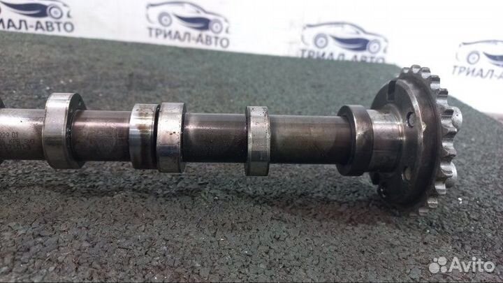 Распредвал BUG Audi Q7, Ауди Ку7