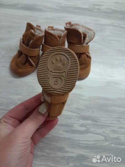 Сапожки для собак, для кошек