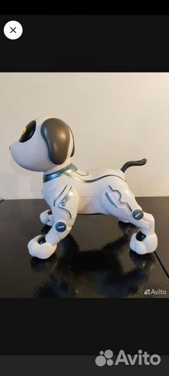 Робот-собака 