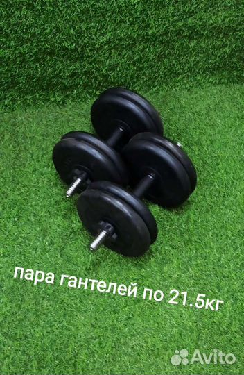 Гантели по 21.5кг (пара)