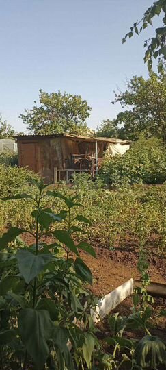 Дача 25 м² на участке 6 сот.