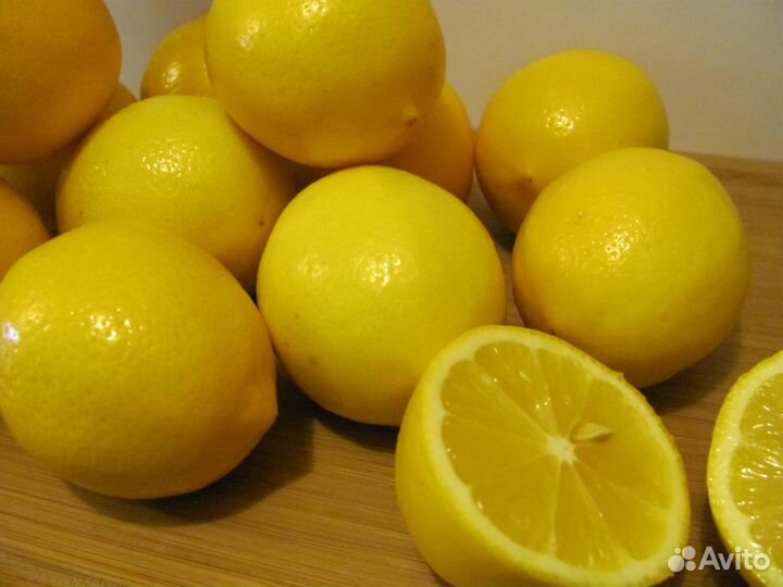 Лимонное дерево