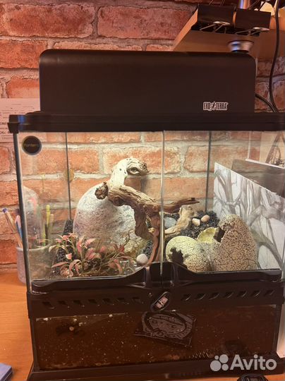 Террариум для рептилий exoterra