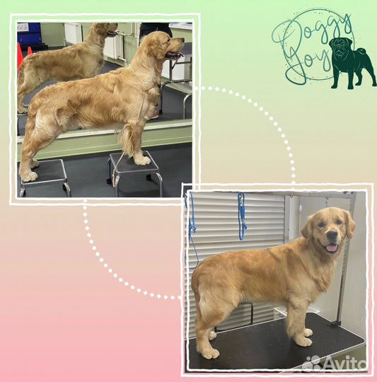 Центр для собак. Груминг