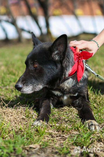 Спокойная Наоми ждёт своего человека