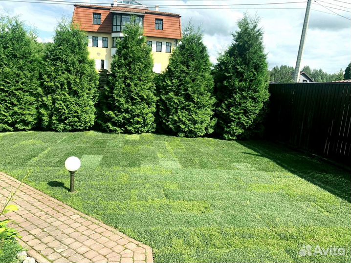 Рулонный газон