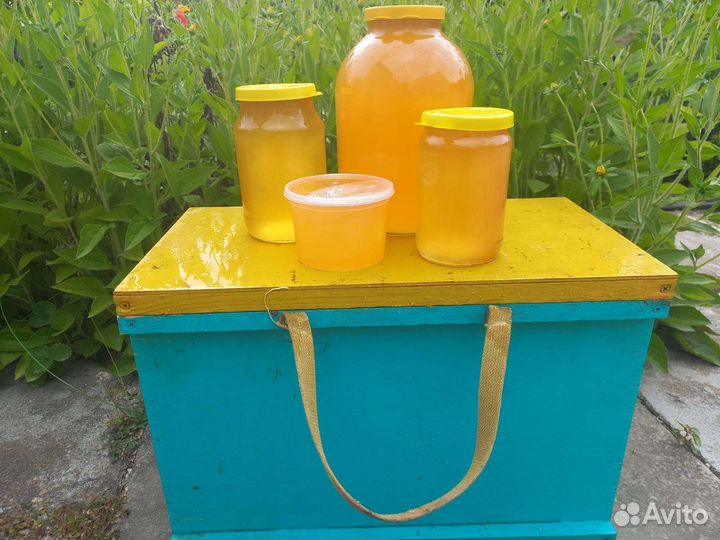 Мед майский