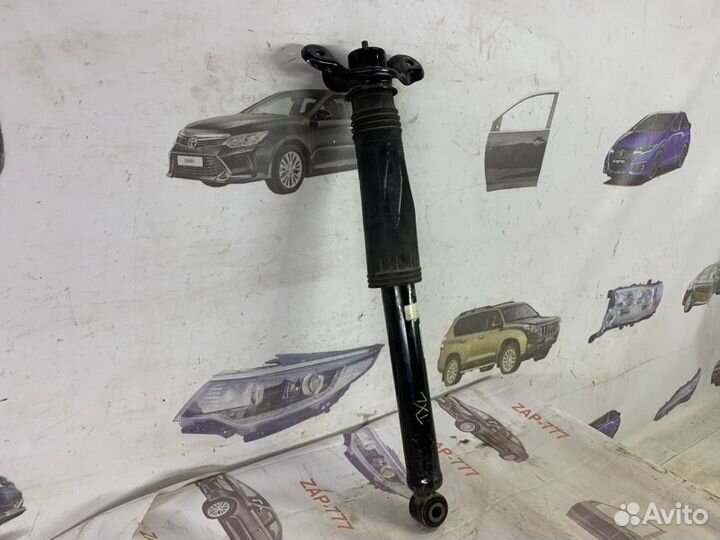 Амортизатор задний Exeed Txl