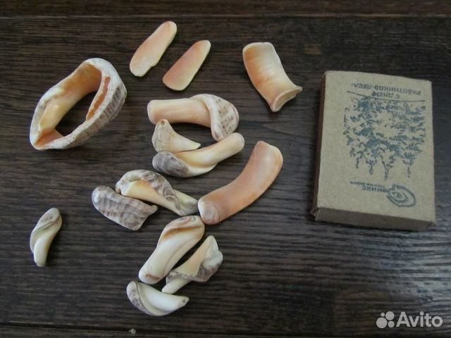 Ракушки, камушки