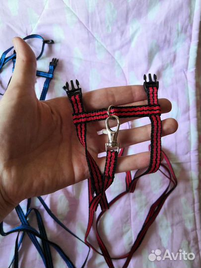 Поводок шлейка для животных