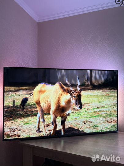 Новый телевизо philips 55 SMART tv