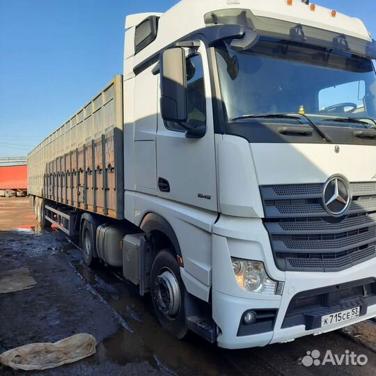 Скотовоз перевозка скота Коров,Нетелей,Быков,Олен