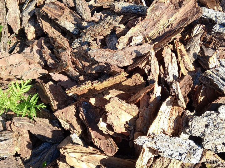 Кора (мульча) сосны, лиственницы