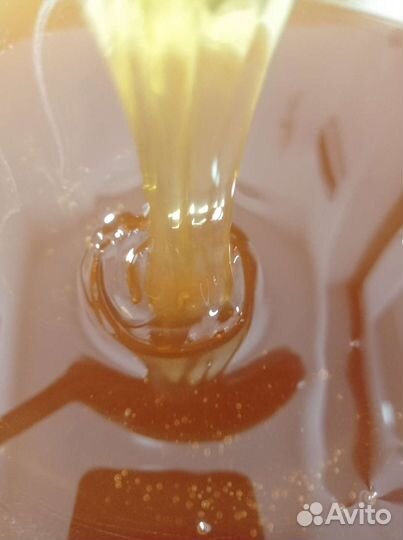 Липа мед 2023 оптом