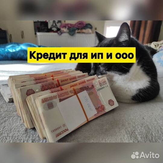 Помощь в получении кредита для Предпринимателей