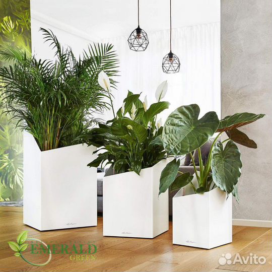 Озонирование коммерческих и жилых помещений