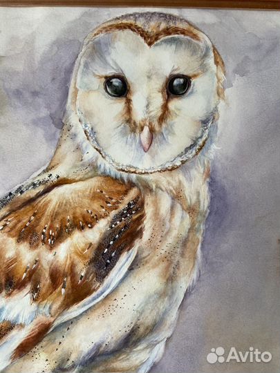Картина акварелью «Зимняя сипуха»