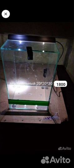 Террариумы разных размеров