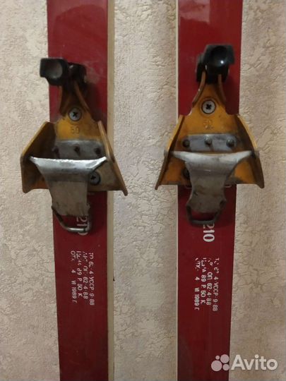 Беговые лыжи тиса fisher