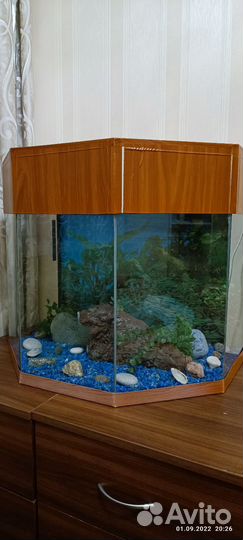 Аквариум