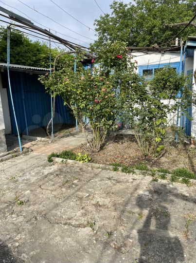 Дом 120 м² на участке 17 сот.