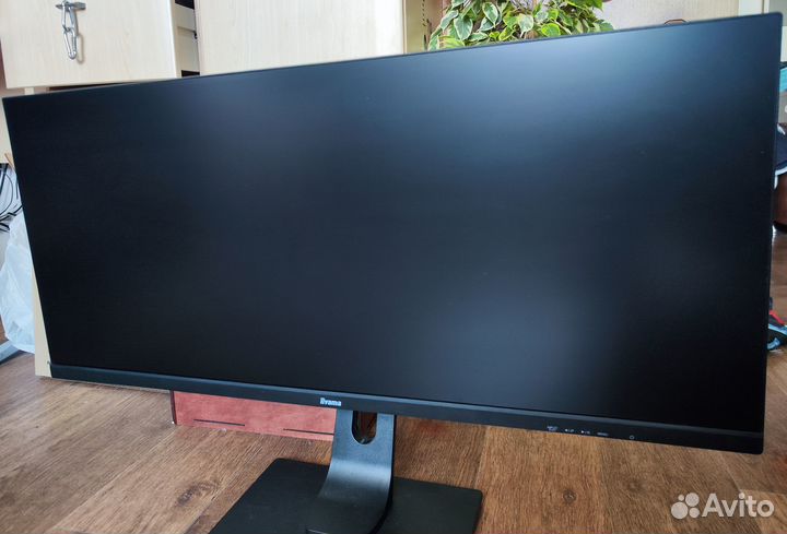 Iiyama GB3461wqsu 34